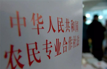 农民专业合作社