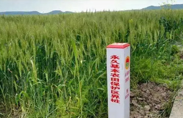 农业农村部关于加强和改进永久基本农田保护工作的通知