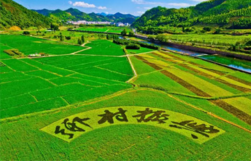 浙江省湖州市：数字赋能乡村振兴 推进农民农村共同富裕