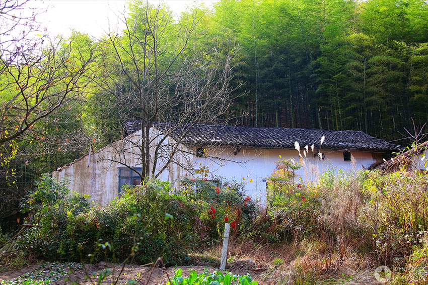 淘屋网,安吉农屋,安吉宅基地,安吉民宿